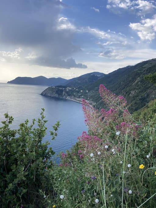 Al Geko Del Groppo ☆ Breath & Relax ☆ 5 Terre Villa Volastra Luaran gambar